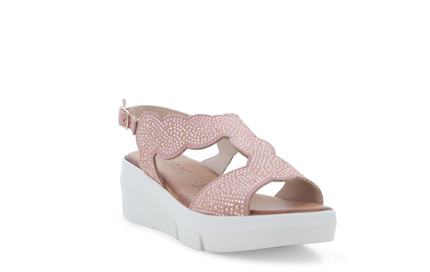 gid://shopify/Product/15761178231116_2