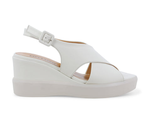 gid://shopify/Product/15761183211852_1