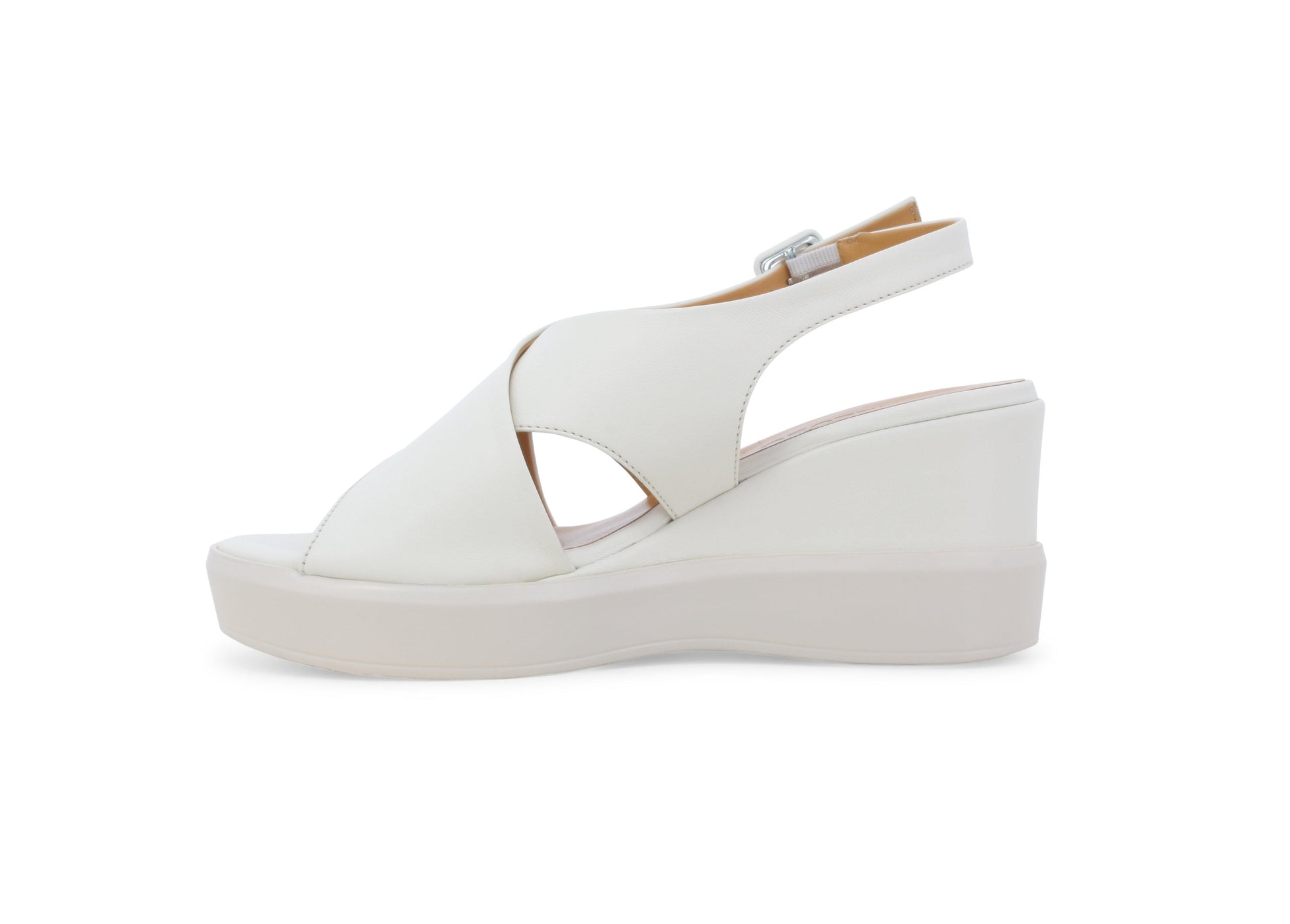 gid://shopify/Product/15761183211852_4