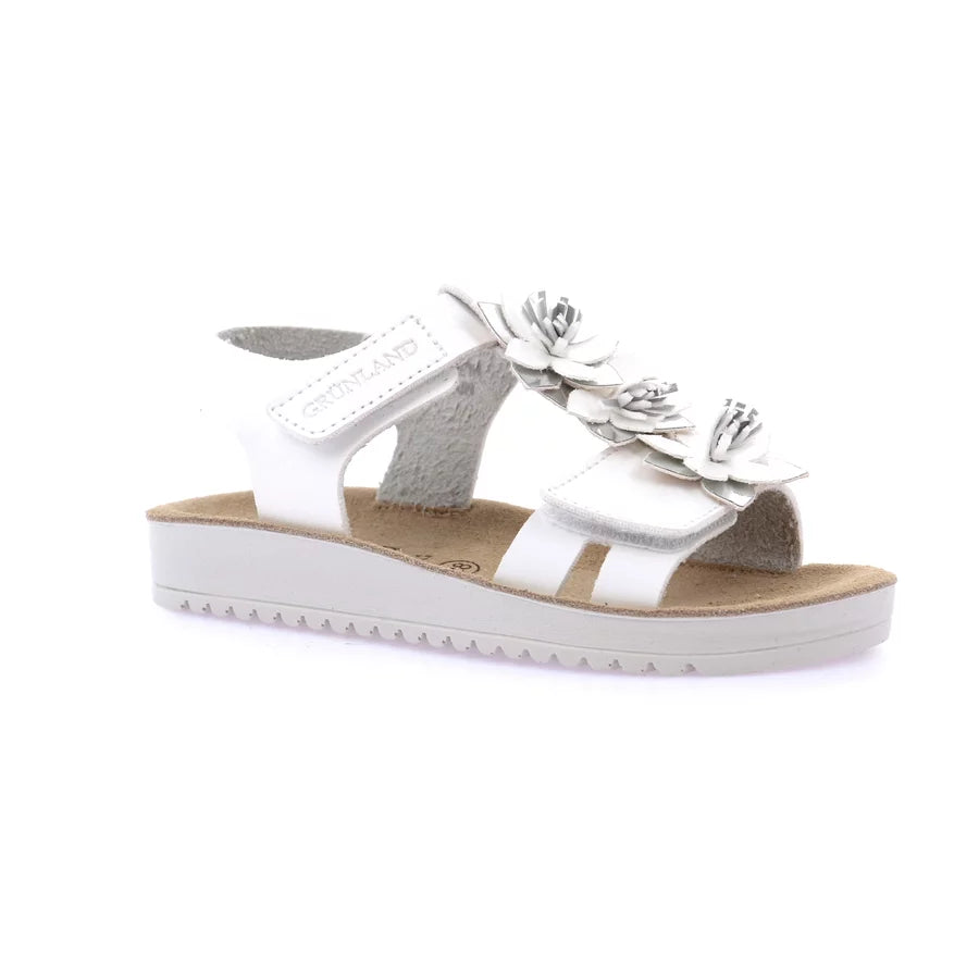 gid://shopify/Product/15712107594060_1