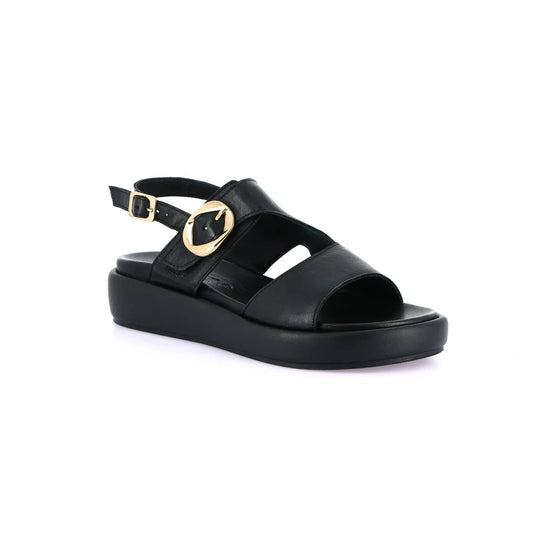 gid://shopify/Product/15712048578892_1