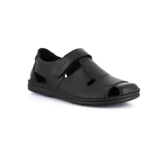 gid://shopify/Product/15712592036172_1