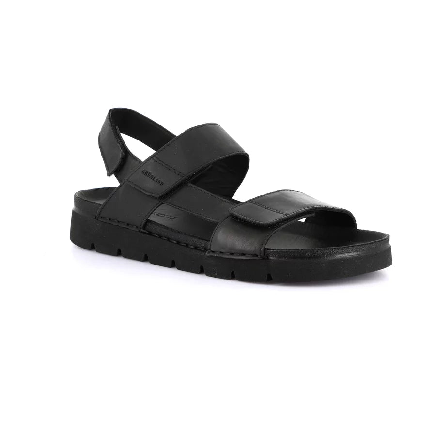 gid://shopify/Product/15712619135308_1