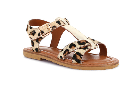 gid://shopify/Product/15713532576076_1