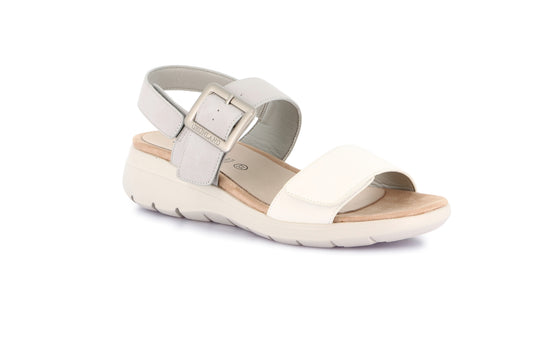 gid://shopify/Product/15713398063436_57344123961676