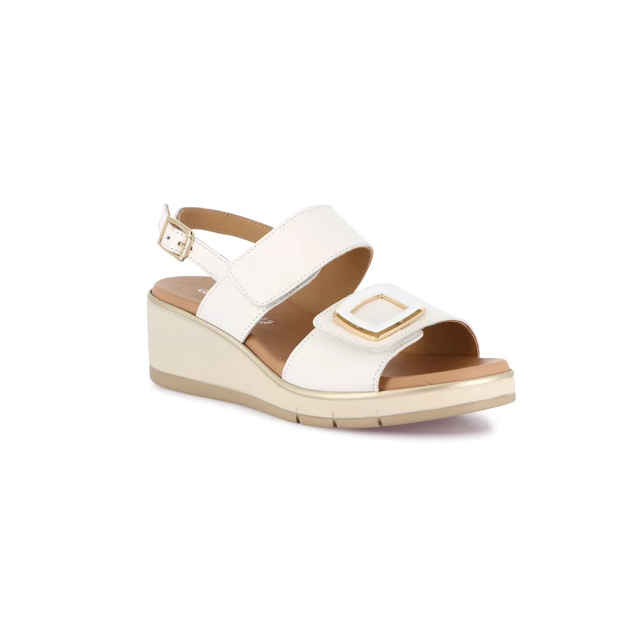 gid://shopify/Product/15797527413068_57719701897548