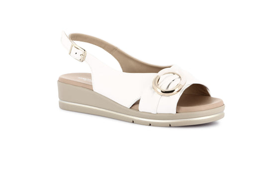 gid://shopify/Product/15798264758604_57721906037068