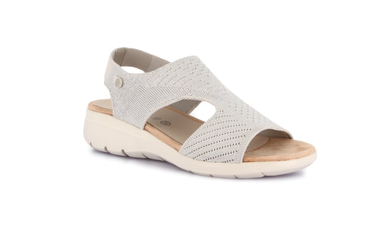 gid://shopify/Product/15712776978764_57341223862604