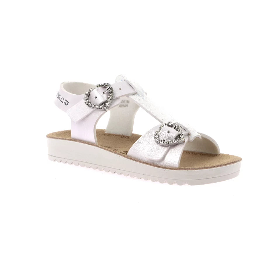 gid://shopify/Product/15712114344268_57339343634764