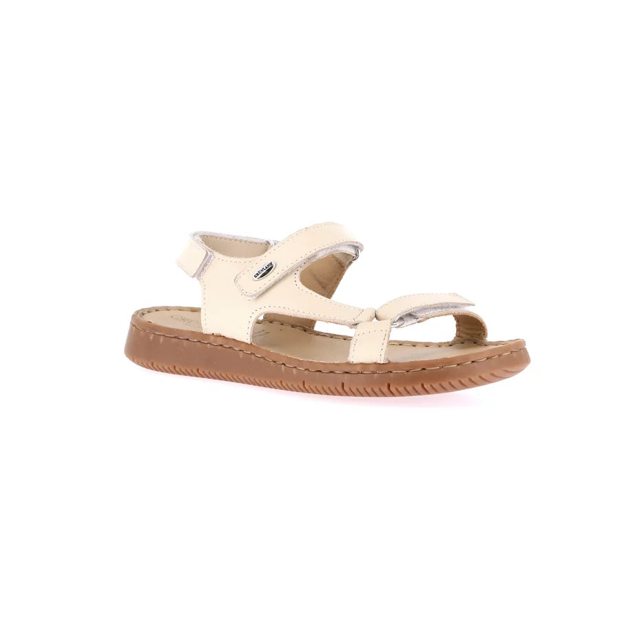gid://shopify/Product/15712075186508_1