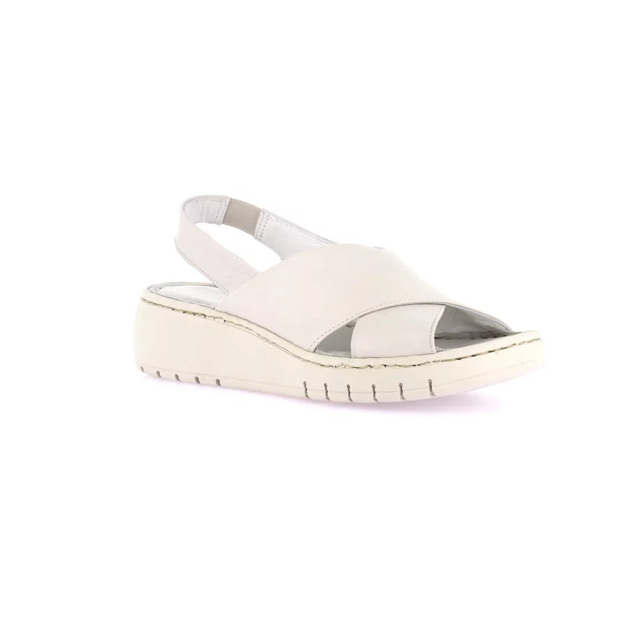 gid://shopify/Product/15711680233804_57336753488204