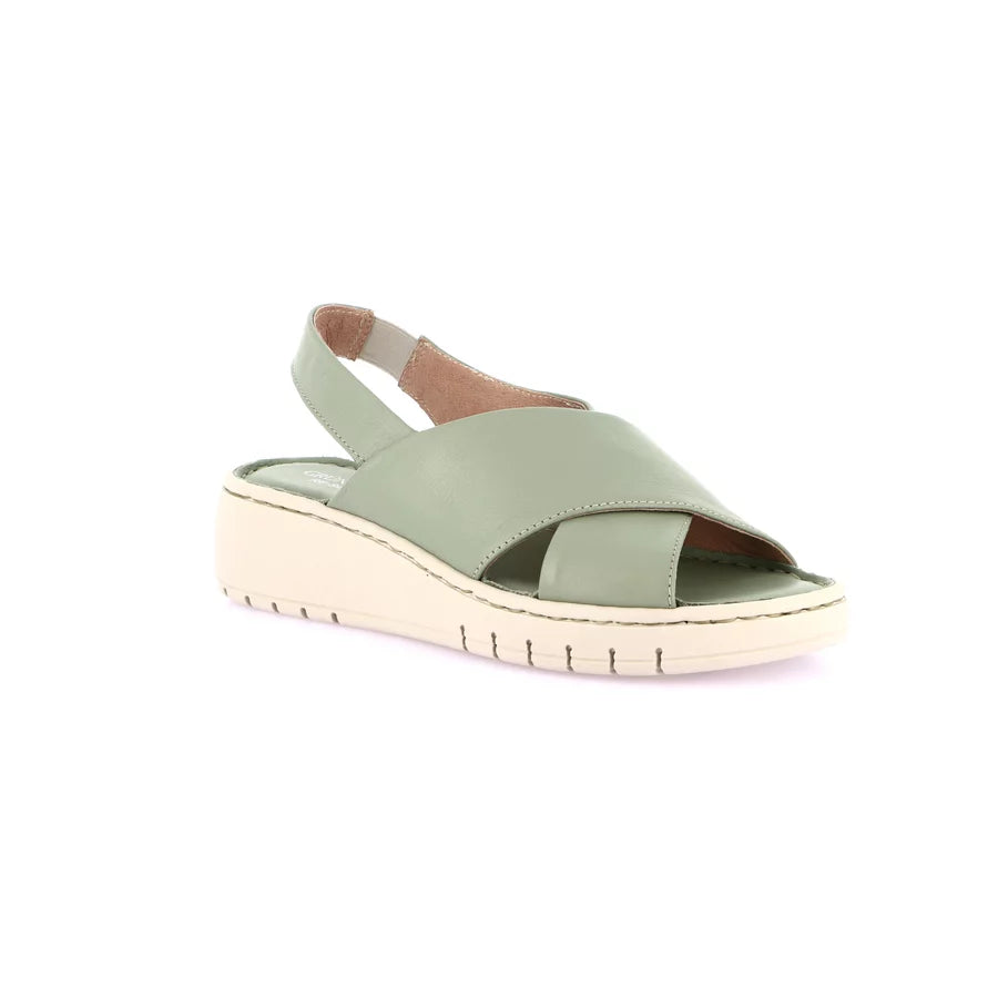 gid://shopify/Product/15711680233804_57336753652044