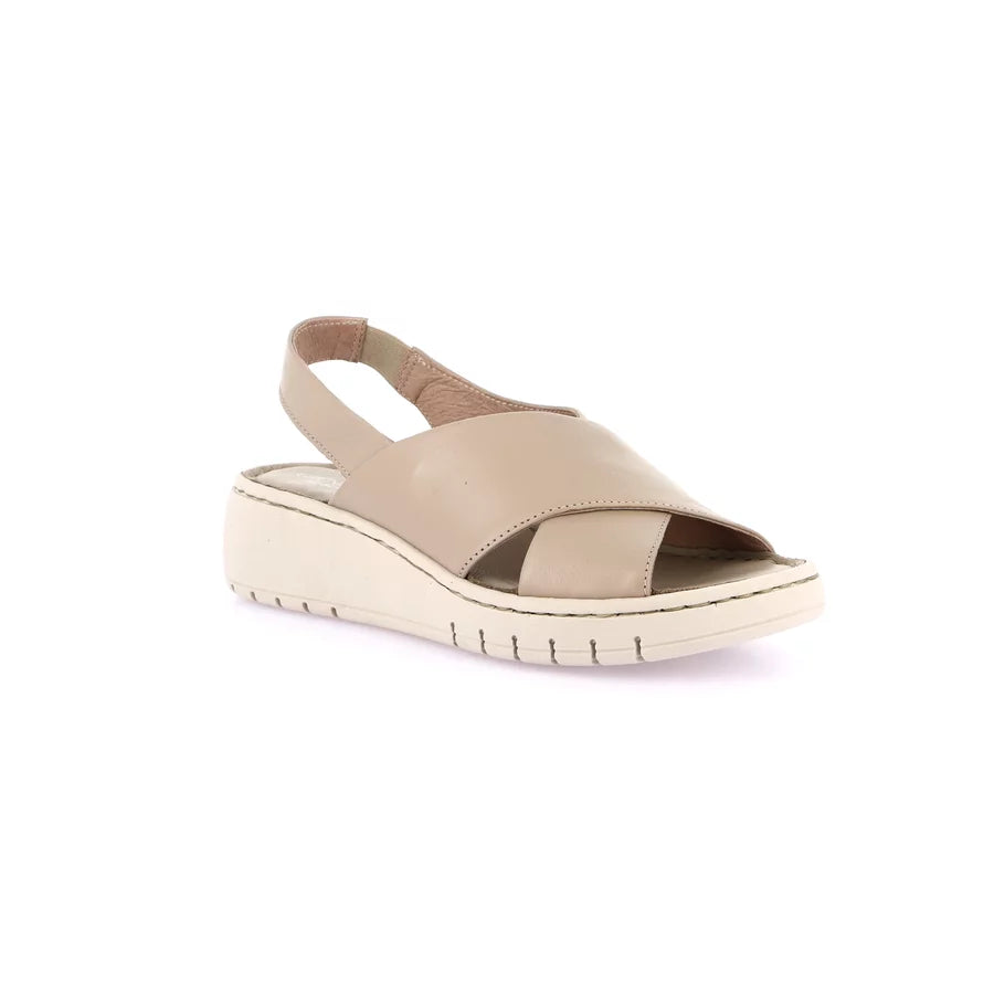 gid://shopify/Product/15711680233804_57336753815884