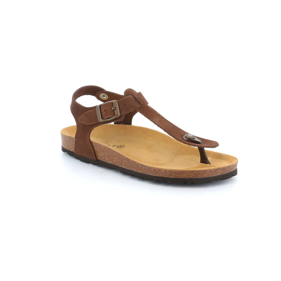 gid://shopify/Product/15711352226124_57335168008524