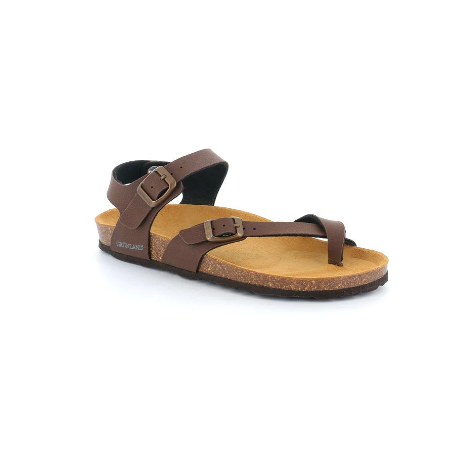 gid://shopify/Product/15753158132044_57516552749388