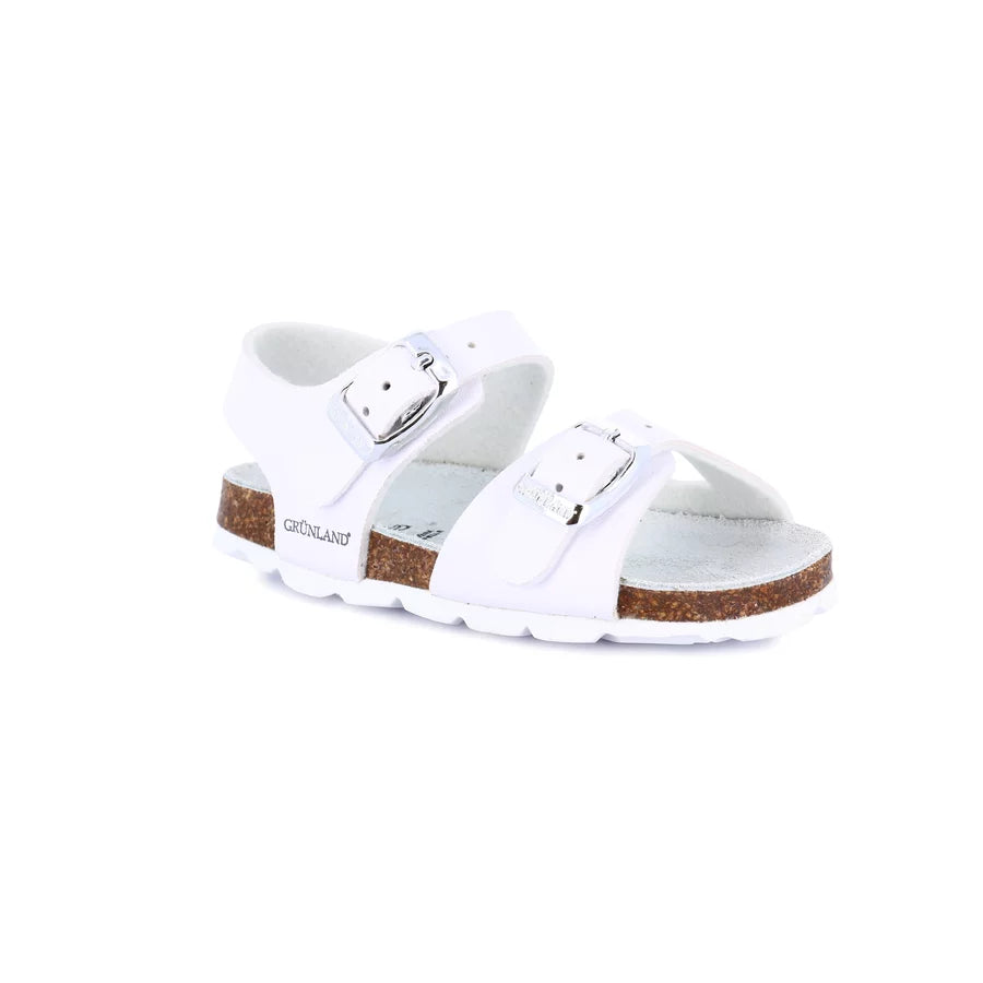 gid://shopify/Product/15752664187212_57514776789324