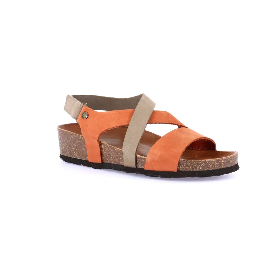 gid://shopify/Product/15754199793996_57519171699020