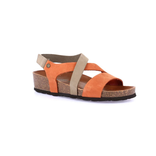 gid://shopify/Product/15754199793996_57519171699020