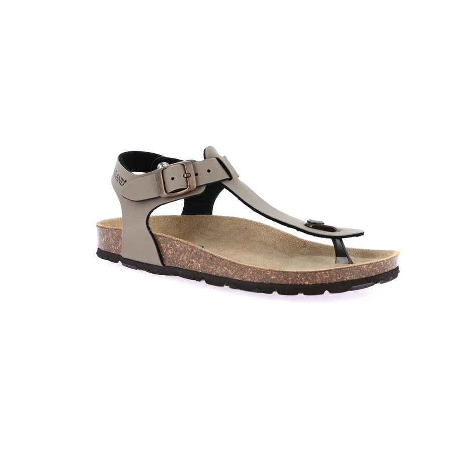 gid://shopify/Product/15753195258188_57516635259212