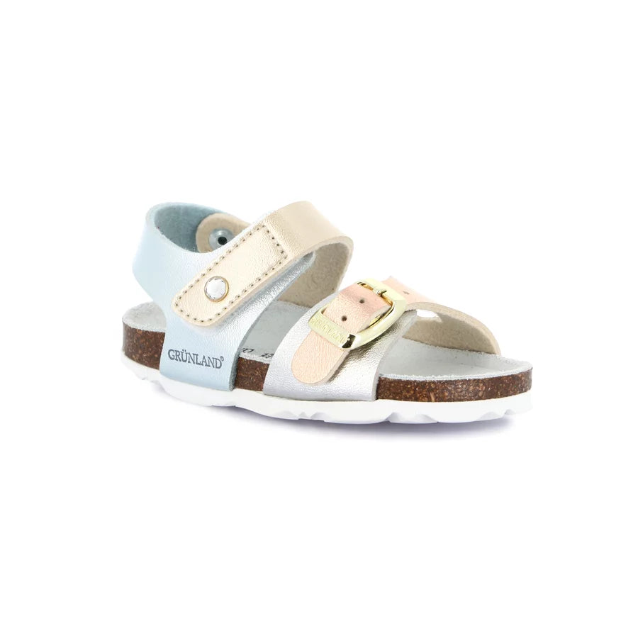 gid://shopify/Product/15753130279244_57516372558156