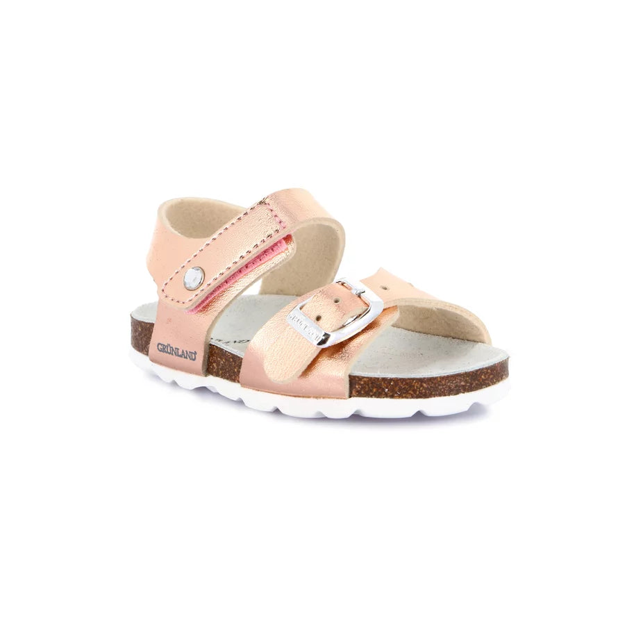 gid://shopify/Product/15753130279244_57516355322188