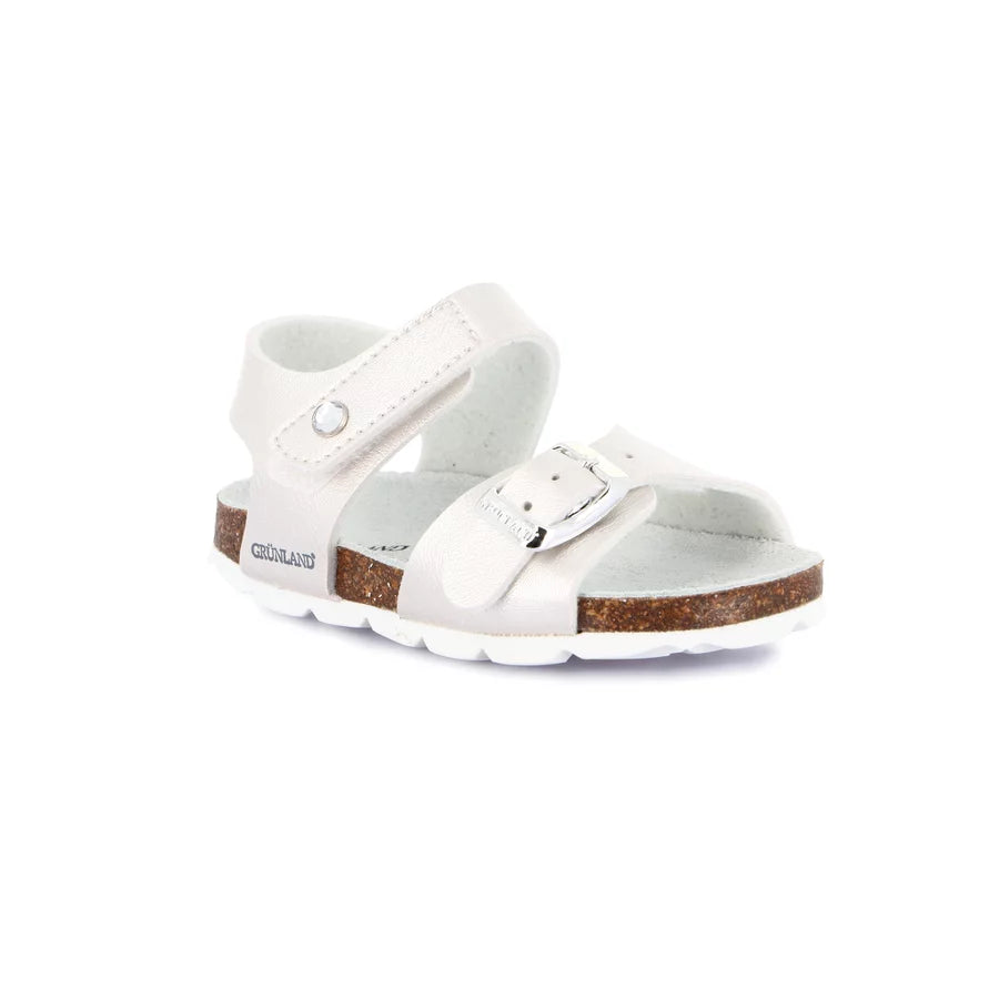 gid://shopify/Product/15753130279244_57516372099404