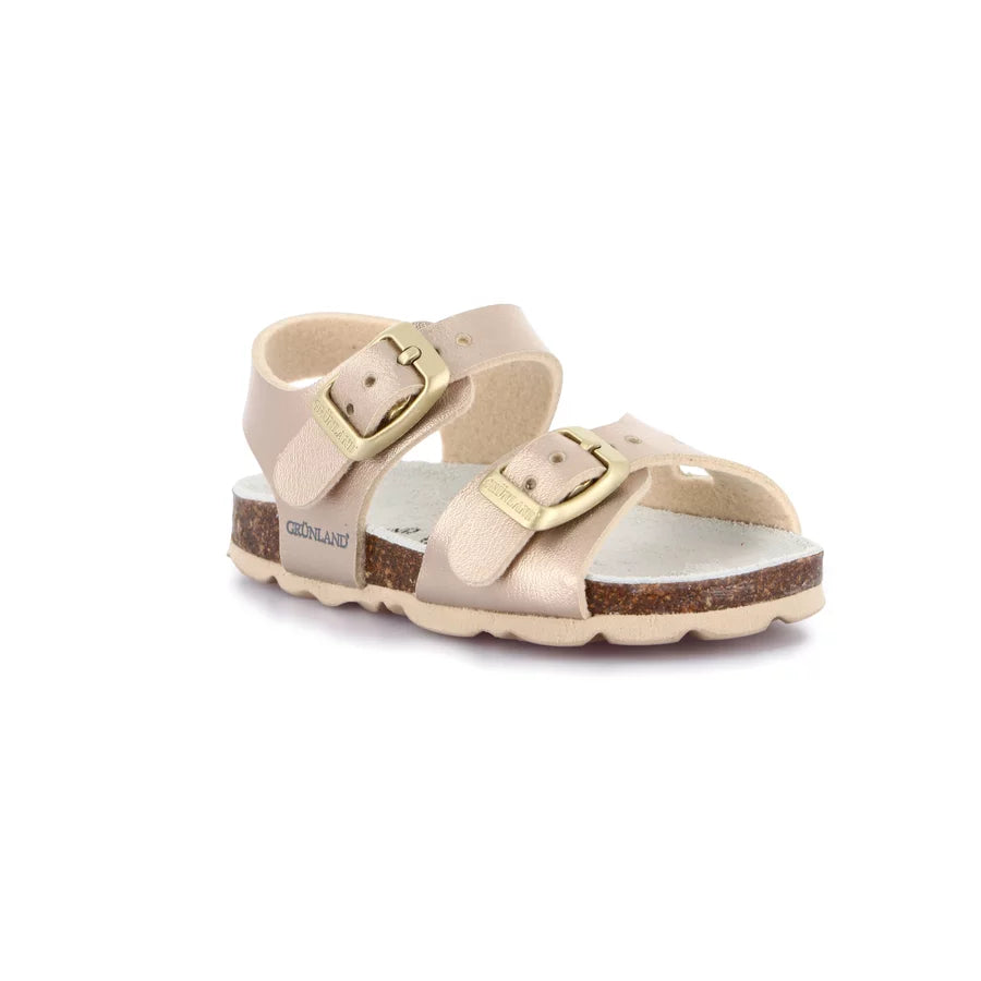 gid://shopify/Product/15711441125708_57335544480076