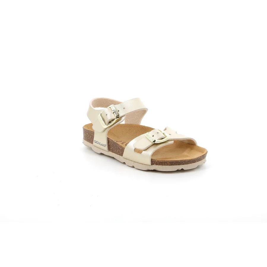 gid://shopify/Product/15753204367692_57516664455500