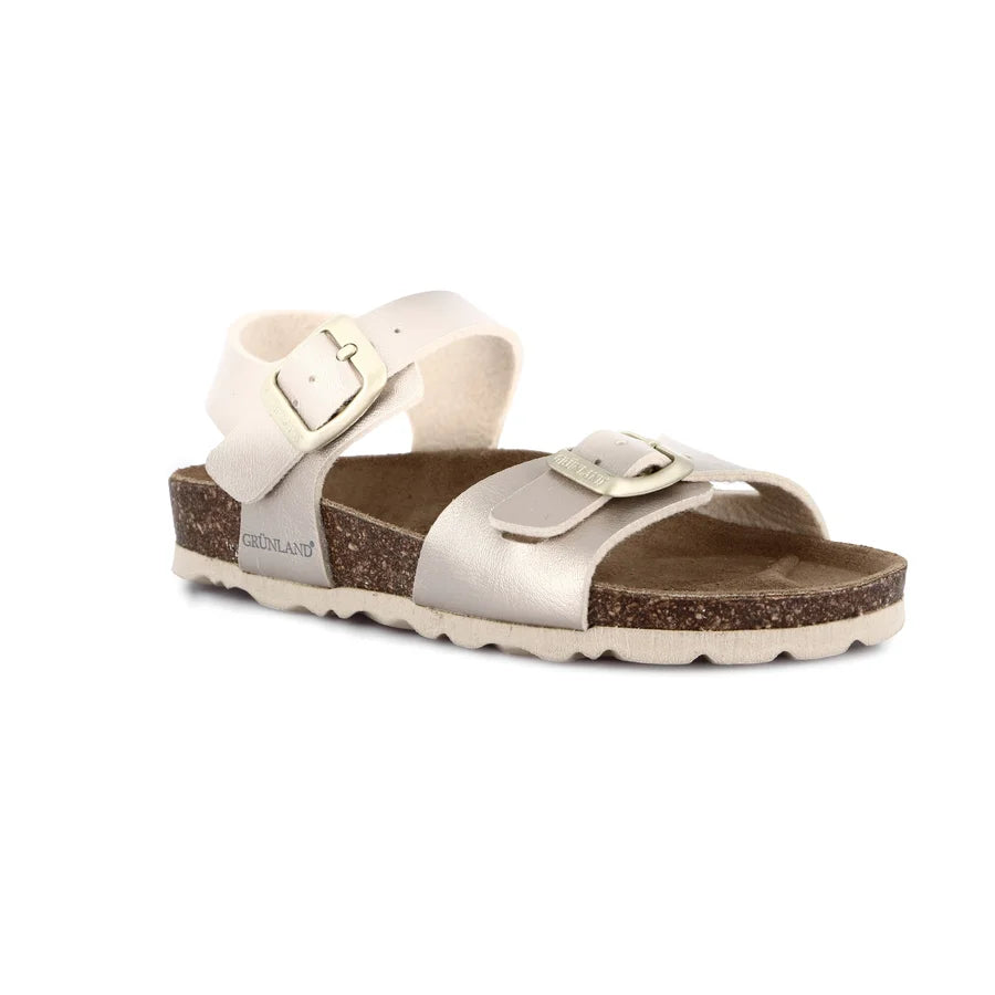 gid://shopify/Product/15753204367692_57516666749260