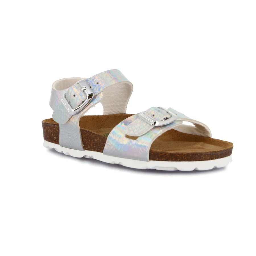 gid://shopify/Product/15724702990668_1