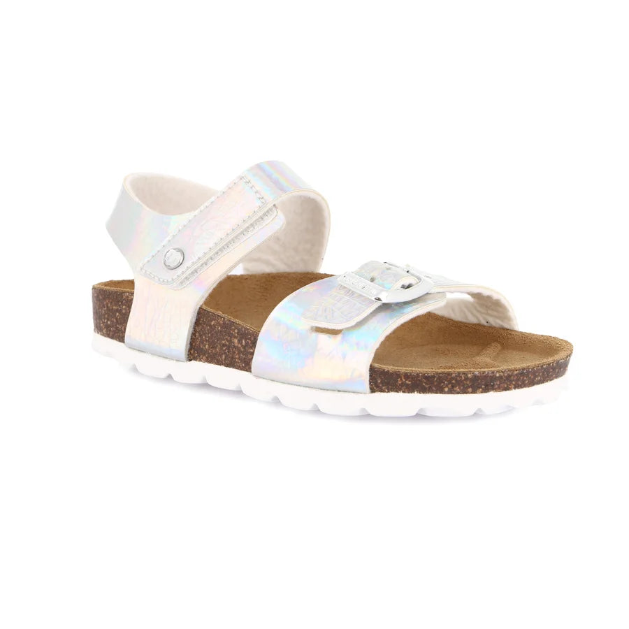 gid://shopify/Product/15754109976908_1