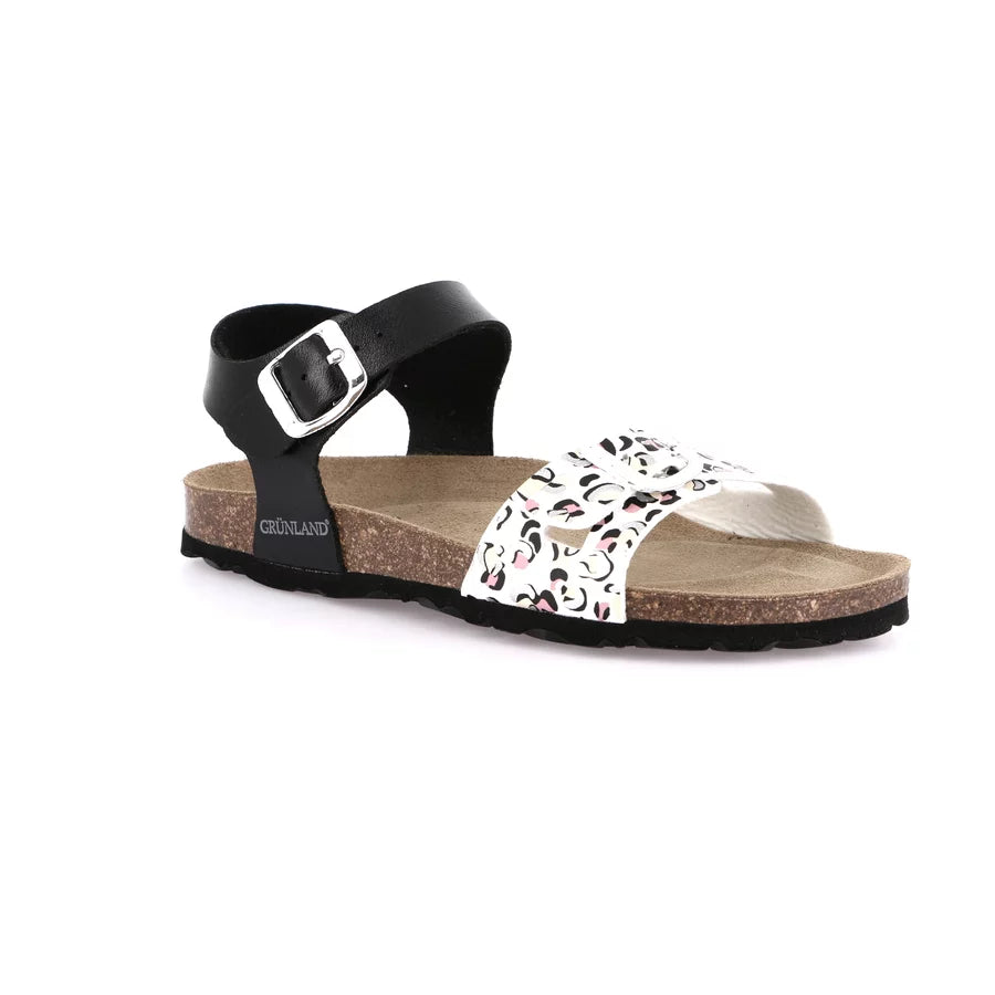 gid://shopify/Product/15712110772556_57339323089228