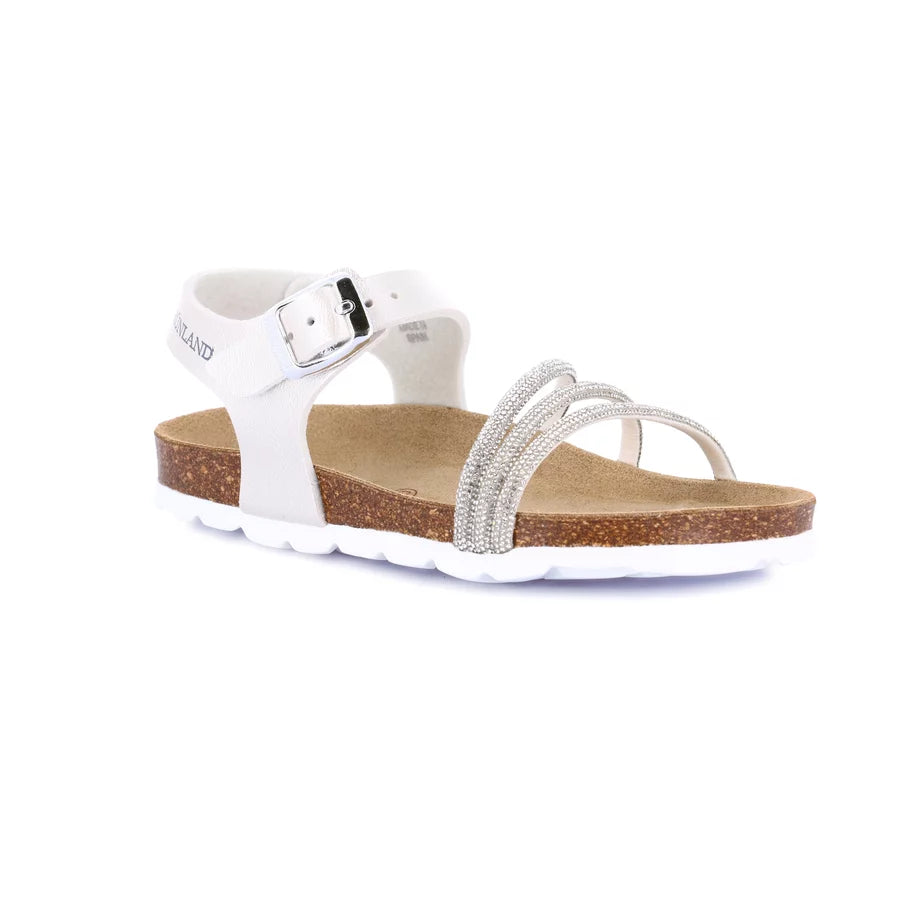 gid://shopify/Product/15712109855052_57339316273484