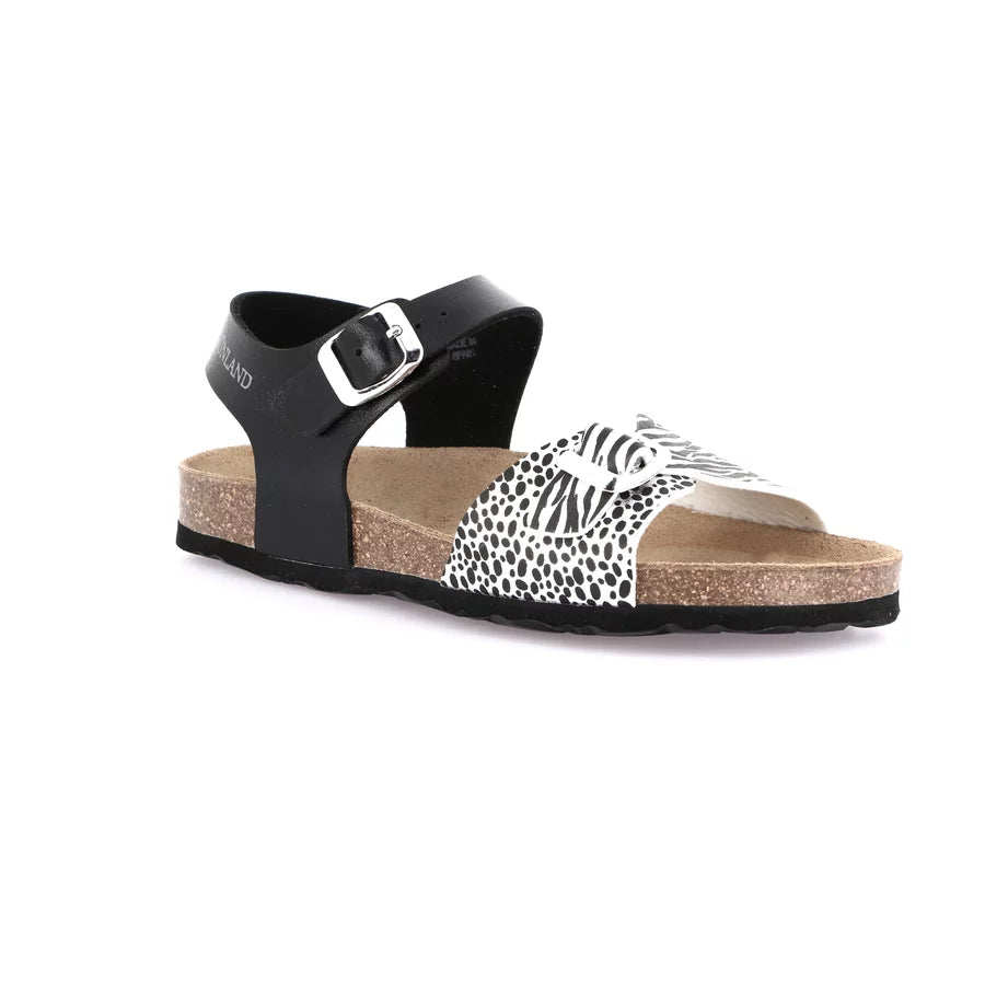 gid://shopify/Product/16104461271372_58817198031180