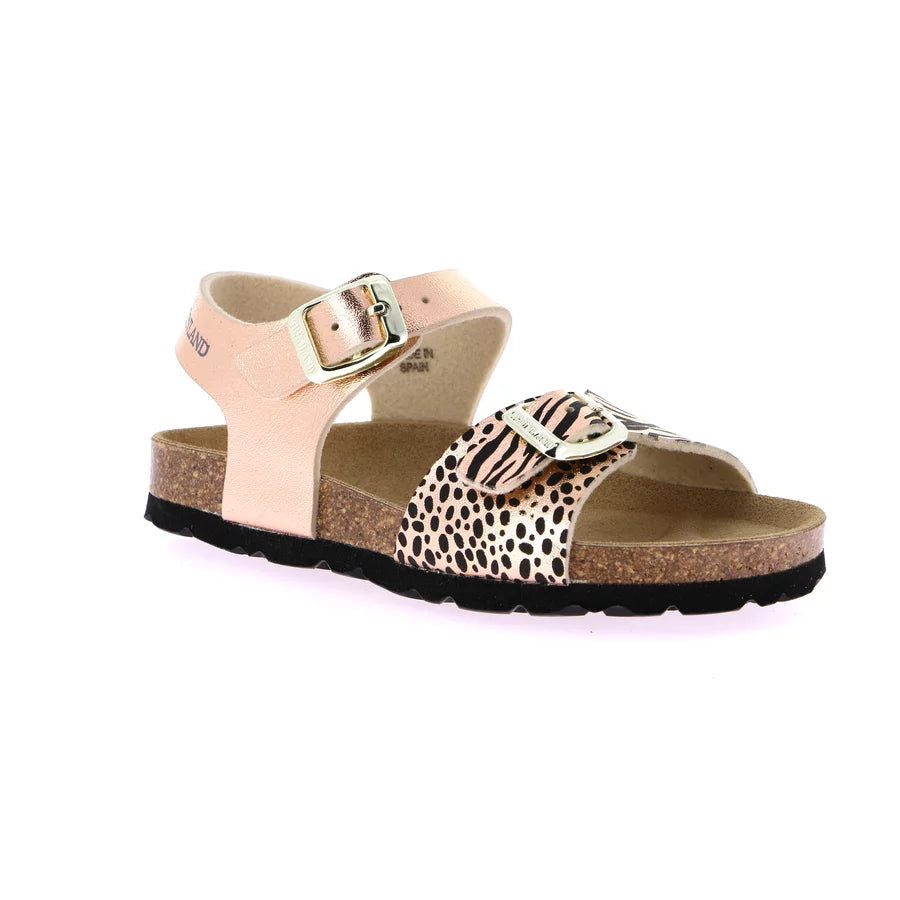 gid://shopify/Product/16104461271372_58817164968268