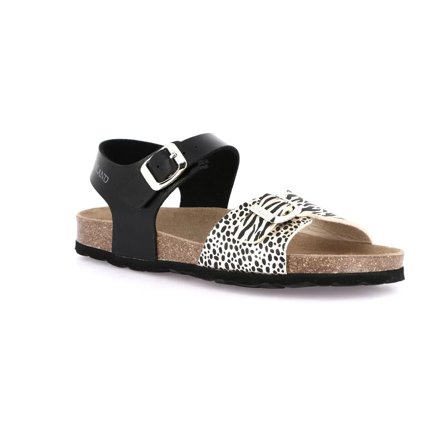 gid://shopify/Product/16104461271372_58817198424396