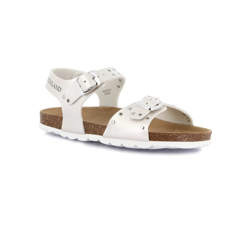 gid://shopify/Product/15712114770252_57339350155596