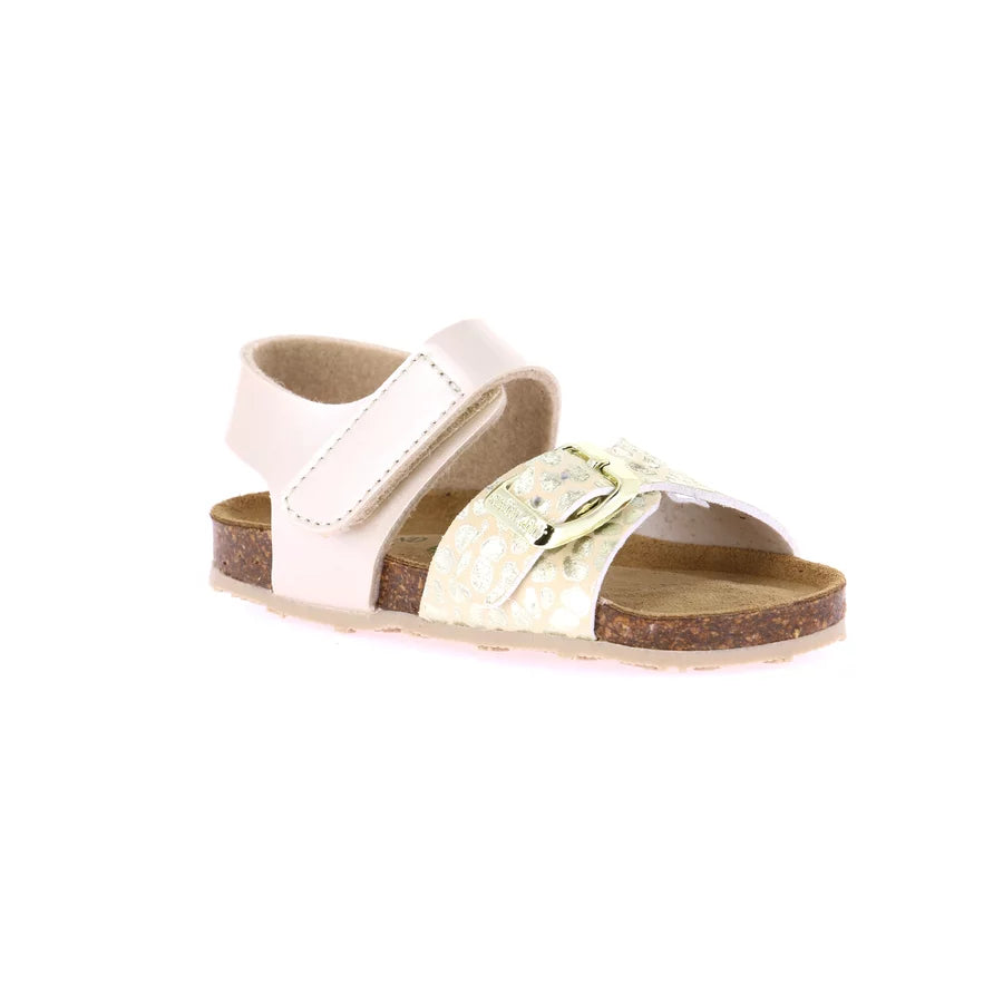 gid://shopify/Product/15712114573644_1