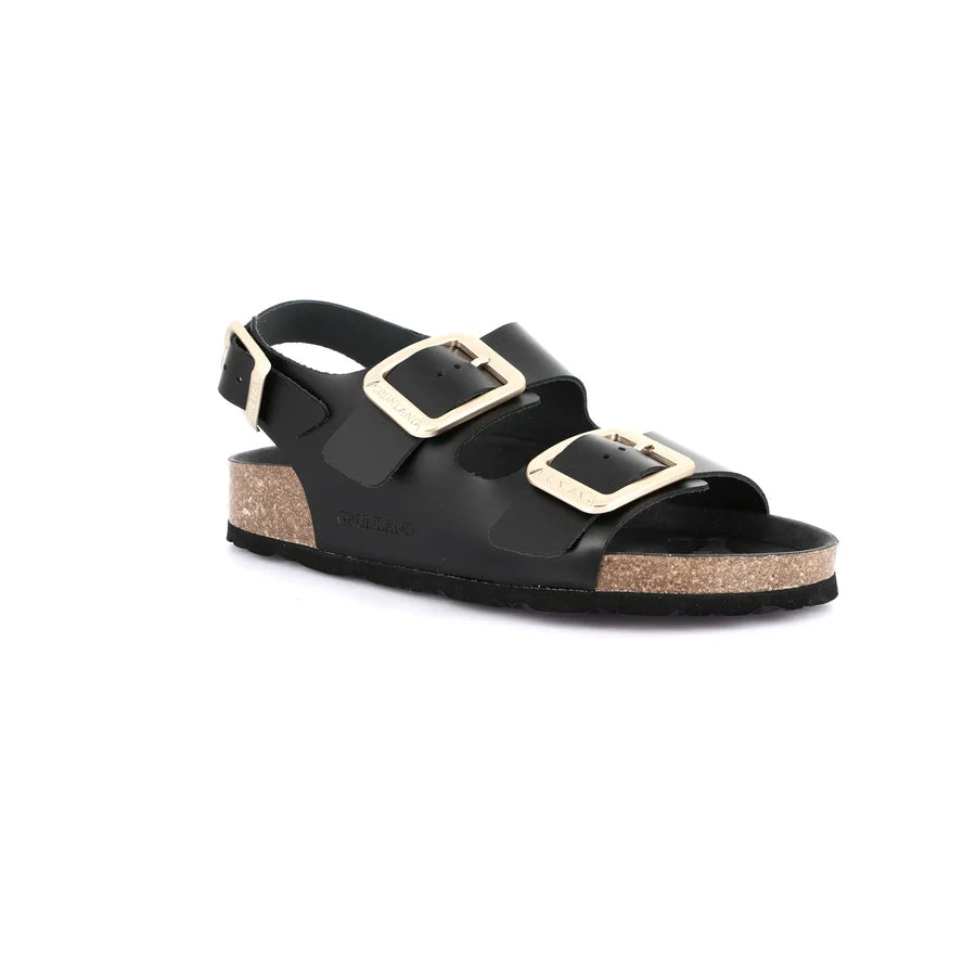 gid://shopify/Product/15712118833484_57339396325708