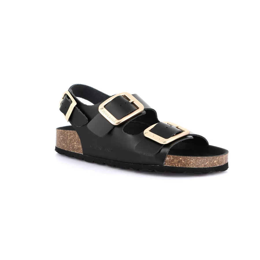 gid://shopify/Product/15712118833484_1