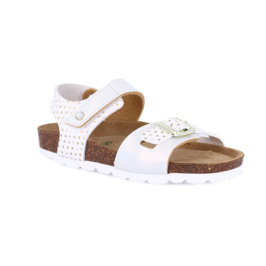 gid://shopify/Product/15754815439180_57520605167948