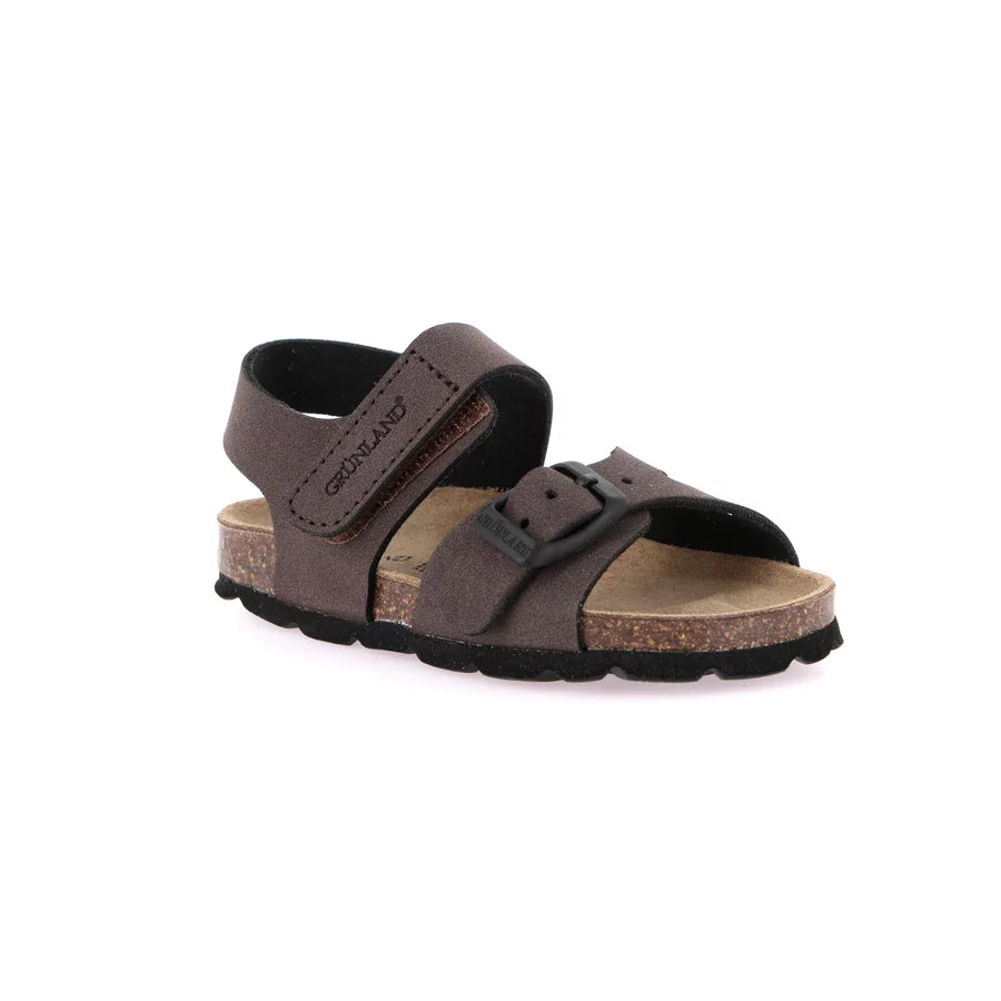gid://shopify/Product/15713105674572_1