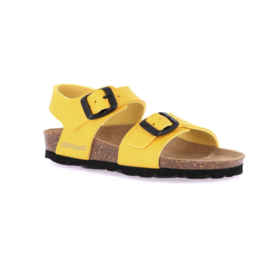 gid://shopify/Product/15711361958220_57335208149324