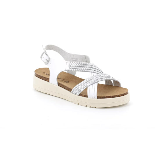 gid://shopify/Product/15753775579468_57518089011532