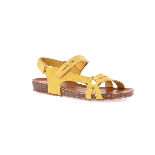 gid://shopify/Product/15711938904396_57338602455372