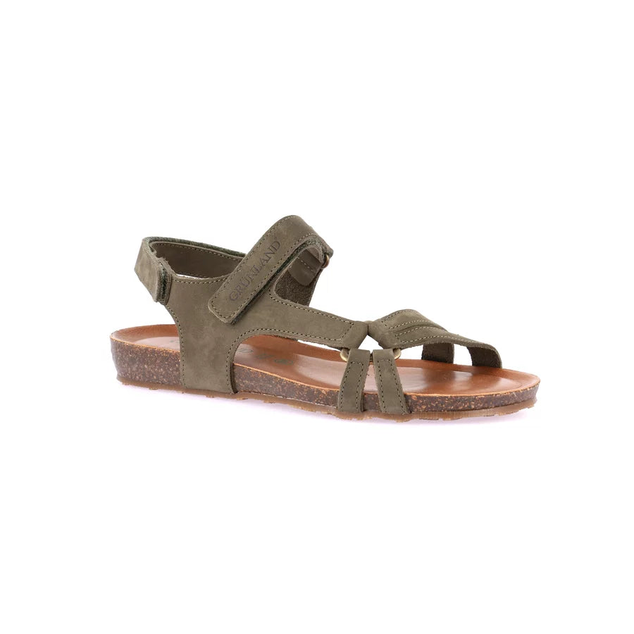 gid://shopify/Product/15711938904396_57338609205580