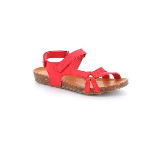gid://shopify/Product/15711938904396_57338608615756