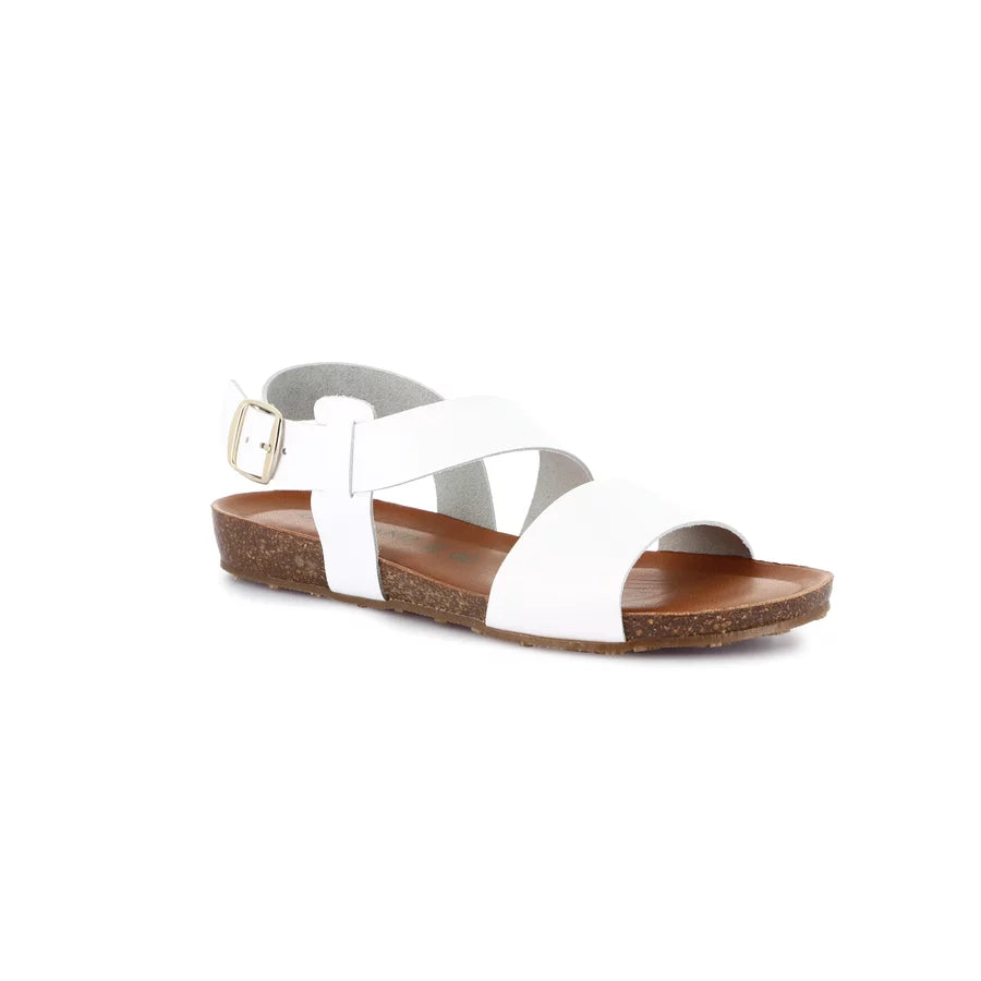 gid://shopify/Product/15711942803788_57338635780428