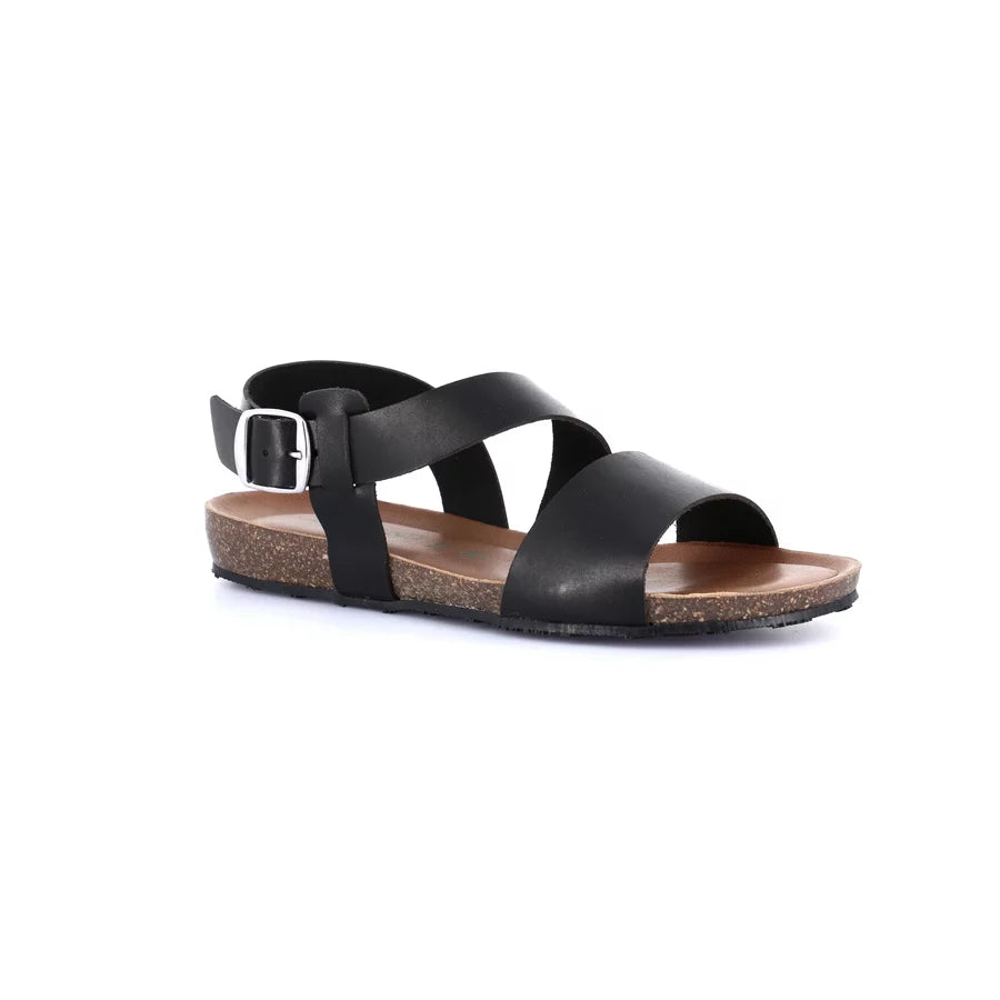gid://shopify/Product/15711942803788_57338635714892