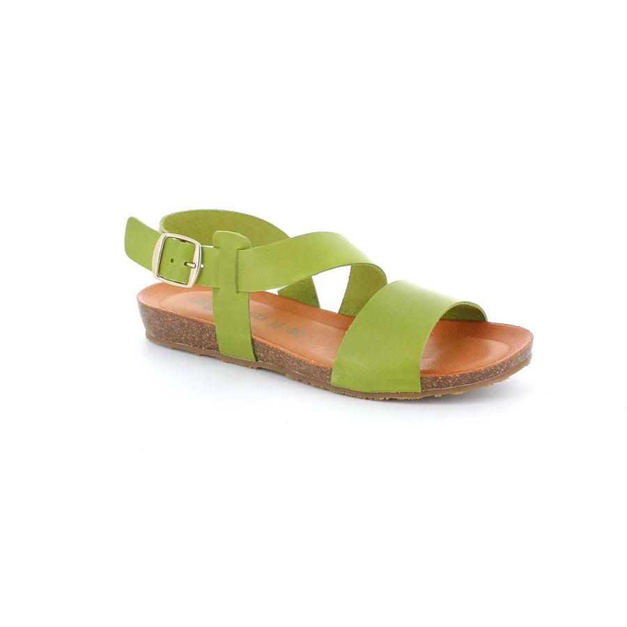 gid://shopify/Product/15711942803788_57338635747660
